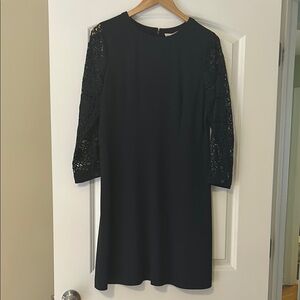 Elegant Navy Lace Sleeve Dress